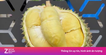 Giá sầu riêng bật tăng mạnh, chủ vườn bỏ túi tiền tỷ