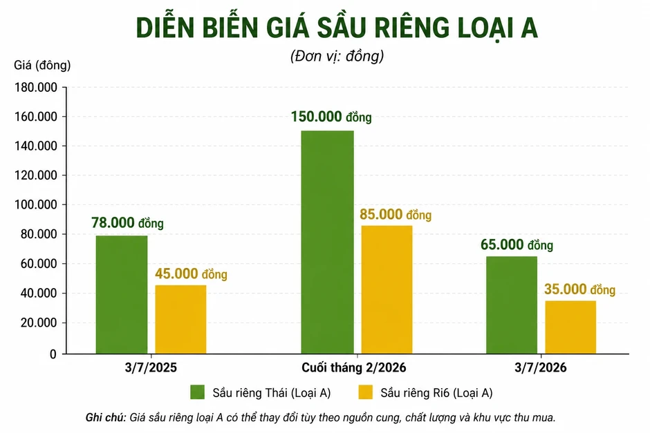Giá sầu riêng lao dốc, điểm nghẽn không chỉ nằm ở thị trường Giá sầu riêng lao dốc, điểm nghẽn không chỉ nằm ở thị trường