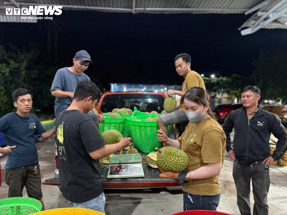 Giá sầu riêng lao dốc, xe ùn ứ chờ kiểm nghiệm: Điều gì đang xảy ra? Giá sầu riêng lao dốc, xe ùn ứ chờ kiểm nghiệm: Điều gì đang xảy ra?