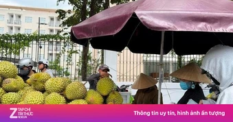 Giá sầu riêng Ri6 bật tăng trở lại