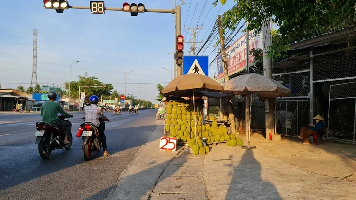 Giá sầu riêng rớt nhưng bạn đọc nói chưa bao giờ mua được giá rẻ Giá sầu riêng rớt nhưng bạn đọc nói chưa bao giờ mua được giá rẻ