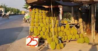 Giá sầu riêng rớt nhưng bạn đọc nói chưa bao giờ mua được giá rẻ