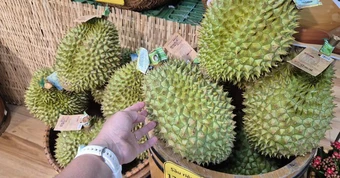 Giá sầu riêng tại vườn “chạm đáy”, vì sao giá bán lẻ vẫn cao?