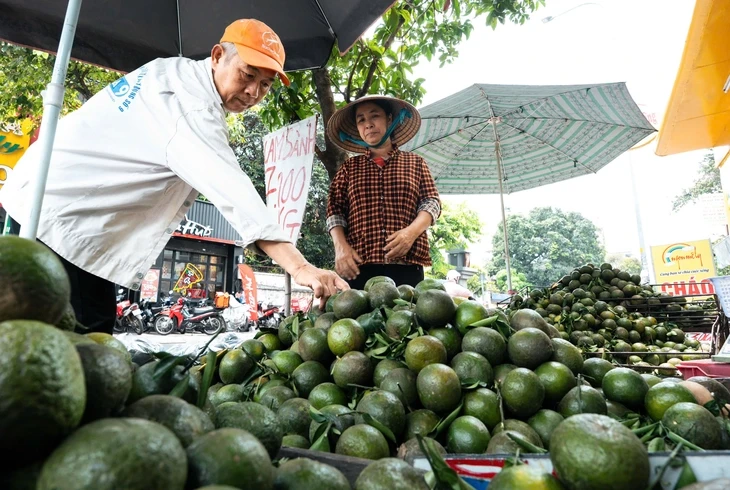 Giá trái cây rớt mạnh, nhiều nơi rao 'giải cứu' Giá trái cây rớt mạnh, nhiều nơi rao 'giải cứu'