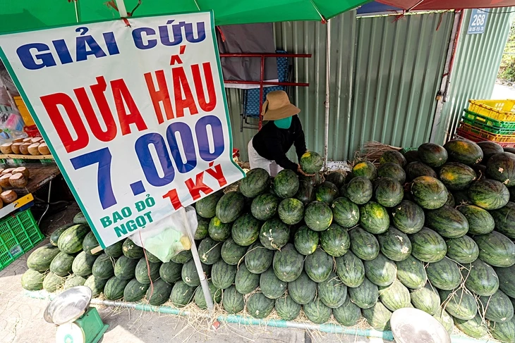Giá trái cây rớt mạnh, nhiều nơi rao 'giải cứu' Giá trái cây rớt mạnh, nhiều nơi rao 'giải cứu'