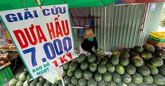 Giá trái cây rớt mạnh, nhiều nơi rao 'giải cứu'