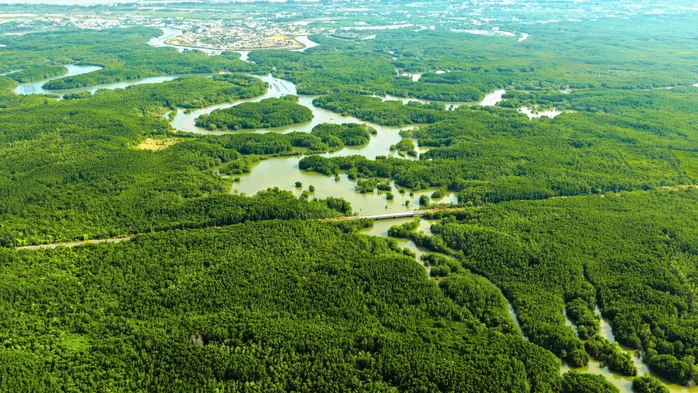 Giải pháp để Cần Giờ đón 40 triệu lượt khách Giải pháp để Cần Giờ đón 40 triệu lượt khách