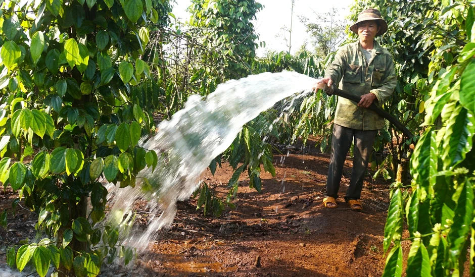 Giảm chi phí xăng: Nông, ngư dân tưới cây bằng điện, bán cá giữa biển Giảm chi phí xăng: Nông, ngư dân tưới cây bằng điện, bán cá giữa biển
