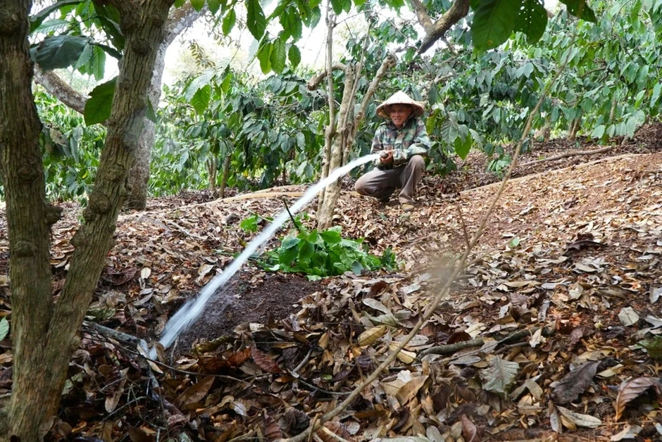 Giảm chi phí xăng: Nông, ngư dân tưới cây bằng điện, bán cá giữa biển Giảm chi phí xăng: Nông, ngư dân tưới cây bằng điện, bán cá giữa biển