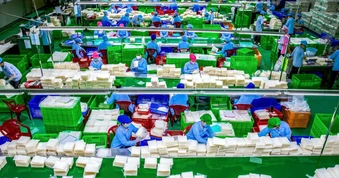 Giám đốc SN 1988 đưa đặc sản Việt siêu mỏng 0,3 mm ra thế giới, mỗi tháng xuất 9 tấn sang Hàn Quốc, có mặt tại Mỹ, Nhật và châu Âu