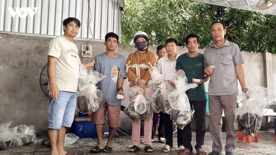 Giảm nghèo từ mô hình nuôi chồn hương sinh sản Giảm nghèo từ mô hình nuôi chồn hương sinh sản