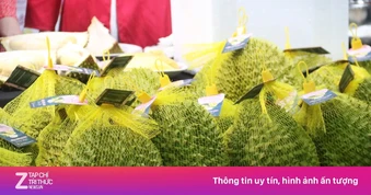 Hàn Quốc bất ngờ tăng nhập khẩu sầu riêng Việt Nam