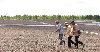 Hàn Quốc đầu tư nhà máy 5 tỷ USD ngay tại láng giềng Việt Nam: Chế biến loại nông sản được mệnh danh ‘vàng treo trên cây’, Việt Nam đang xuất khẩu đứng đầu thế giới