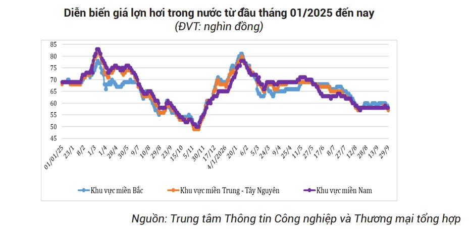 Hàng trăm nghìn tấn thịt lợn ngoại ồ ạt tràn vào Việt Nam, giá rẻ không tưởng chỉ 45.000 đồng/kg Hàng trăm nghìn tấn thịt lợn ngoại ồ ạt tràn vào Việt Nam, giá rẻ không tưởng chỉ 45.000 đồng/kg