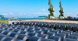 Hàng triệu tấn hàng của Việt Nam ồ ạt đổ bộ Mỹ: hơn 40 quốc gia ưa chuộng, sản lượng 20 triệu tấn/năm đứng đầu ASEAN
