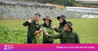 Hết thời quảng cáo 'núp bóng' review trải nghiệm