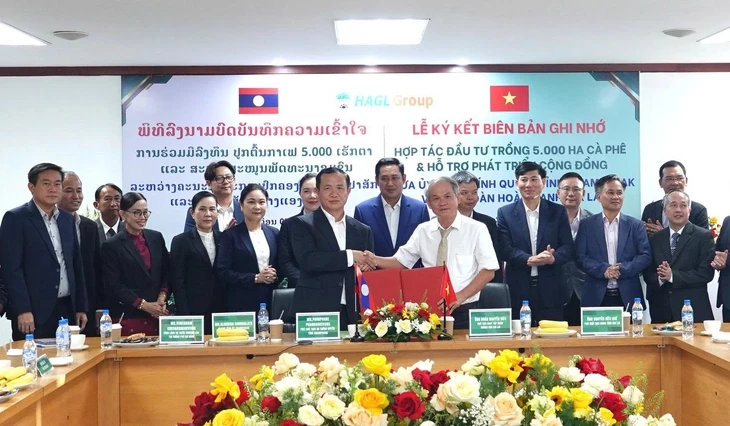 Hoàng Anh Gia Lai đầu tư 5.000ha cà phê tại Lào Hoàng Anh Gia Lai đầu tư 5.000ha cà phê tại Lào