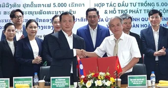 Hoàng Anh Gia Lai đầu tư 5.000ha cà phê tại Lào