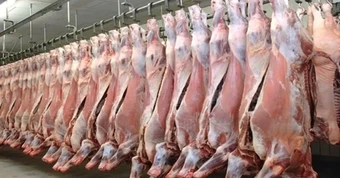 Hơn 100.000 tấn thịt Ấn Độ vào Việt Nam, phần lớn là thịt trâu đông lạnh