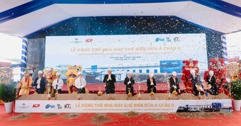 Hơn 50% diện tích dừa cả nước tập trung tại đây: Lộ diện nhà máy 60.000 m2 tham vọng "đánh chiếm" kệ hàng Mỹ
