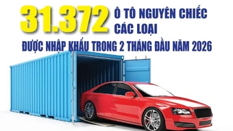Infographics: 2 tháng đầu năm 2026, nhập khẩu ô tô nguyên chiếc và linh kiện đạt gần 1,9 tỷ USD