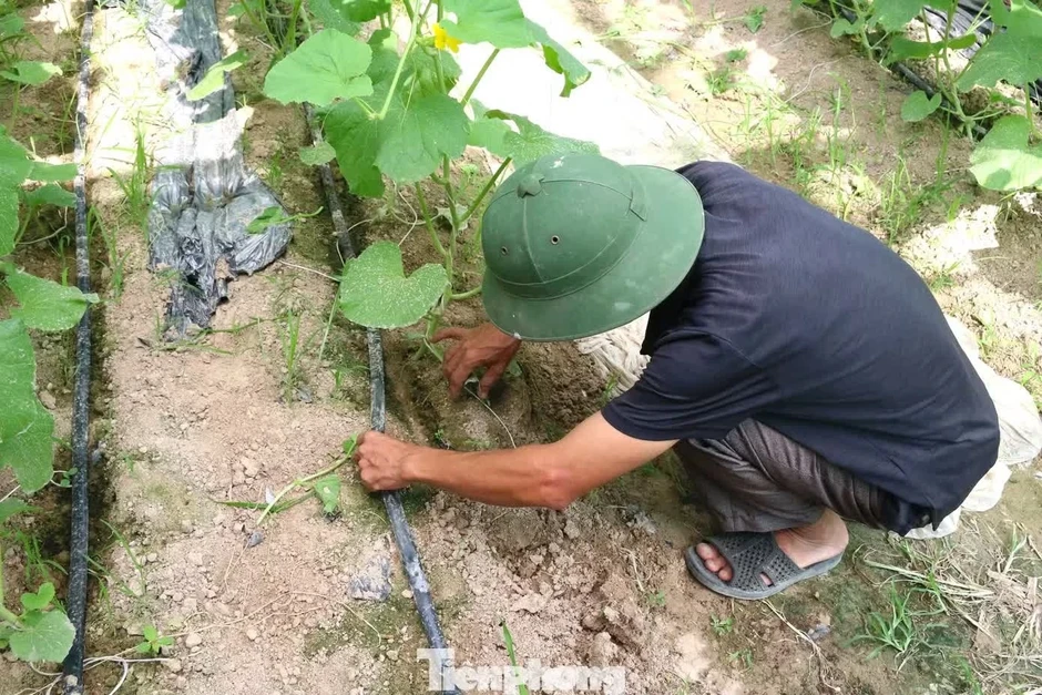 Kỹ sư bỏ lương hơn 50 triệu/tháng ở thành phố về quê làm nông dân Kỹ sư bỏ lương hơn 50 triệu/tháng ở thành phố về quê làm nông dân