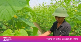 Kỹ sư bỏ lương hơn 50 triệu/tháng ở thành phố về quê làm nông dân