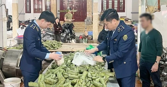 Khởi tố chủ cơ sở sản xuất giò chả sử dụng hàn the, thu giữ hơn 1,2 tấn thực phẩm vi phạm