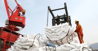 Không phải dầu mỏ, một mặt hàng khác đang thiếu hụt có nguy cơ làm rung chuyển ngành thực phẩm toàn cầu, Trung Quốc 'ngư ông đắc lợi'