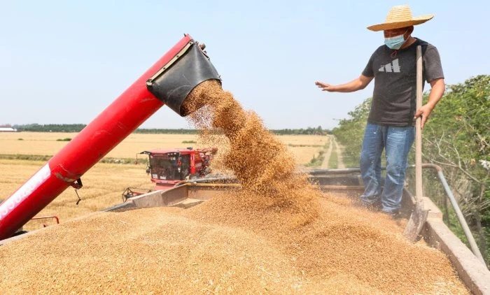 Không phải sầu riêng, Campuchia vừa đón tin cực vui ở mặt hàng đang cạnh tranh với Việt Nam - Trung Quốc góp công lớn Không phải sầu riêng, Campuchia vừa đón tin cực vui ở mặt hàng đang cạnh tranh với Việt Nam - Trung Quốc góp công lớn
