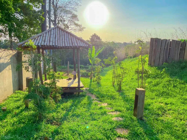 Khu vườn gần 1ha của ông Đặng Lê Nguyên Vũ Khu vườn gần 1ha của ông Đặng Lê Nguyên Vũ