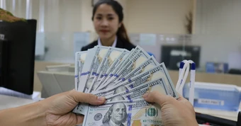 Kiều hối chuyển về TP.HCM bất ngờ đi xuống
