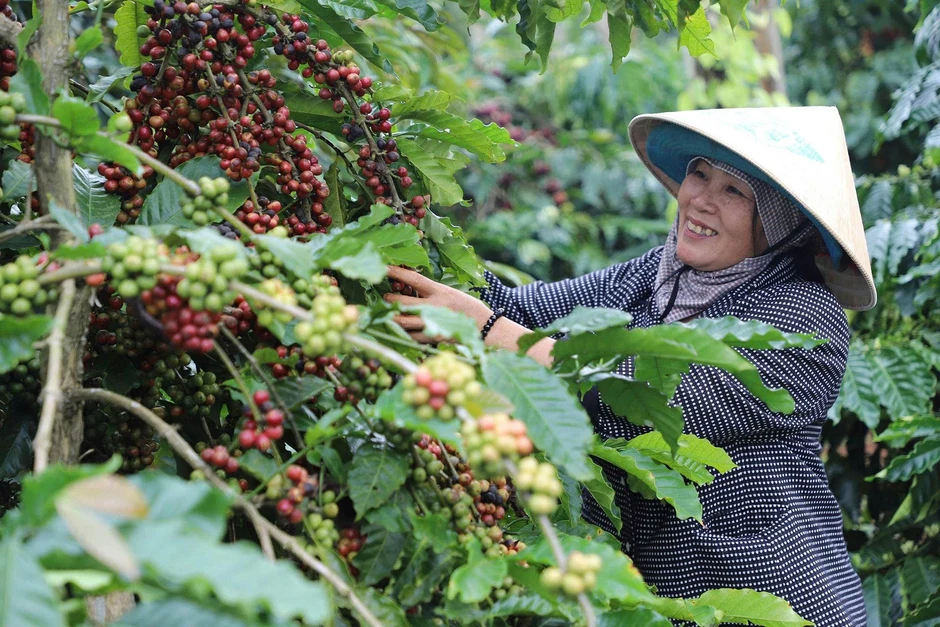 Làng “tỷ phú” giữa lòng cao nguyên Làng “tỷ phú” giữa lòng cao nguyên