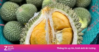 Lên 'kịch bản' cho quả sầu riêng Việt Nam