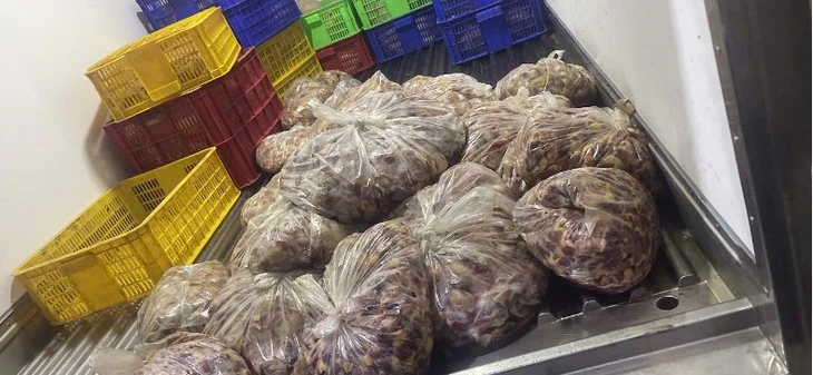 Liên tiếp chặn bắt các vụ vận chuyển thịt heo, gà bẩn vào TP.HCM tiêu thụ
