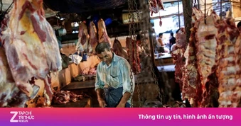 Lý do Ấn Độ thành nguồn cung thịt trâu đông lạnh lớn nhất cho Việt Nam