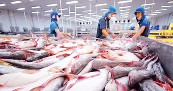 Mặt hàng tỷ đô của Việt Nam gặp ‘cơn bão kép’ tại Mỹ: Xuất khẩu tháng 8 giảm gần 55%, nguy cơ chịu ‘thuế chồng thuế’