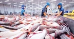 Mặt hàng tỷ đô của Việt Nam gặp ‘cơn bão kép’ tại Mỹ: Xuất khẩu tháng 8 giảm gần 55%, nguy cơ chịu ‘thuế chồng thuế’