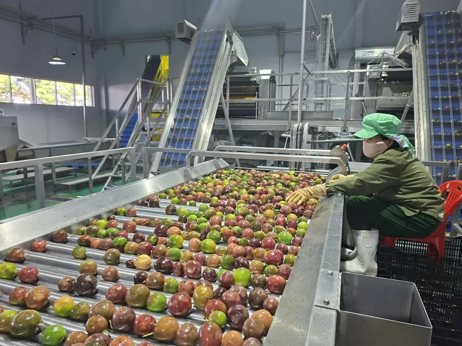 Mở không gian phát triển mới cho kinh tế nông nghiệp Mở không gian phát triển mới cho kinh tế nông nghiệp