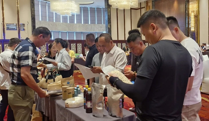 Mở rộng cánh cửa xuất khẩu vào thị trường lớn Trung Quốc Mở rộng cánh cửa xuất khẩu vào thị trường lớn Trung Quốc