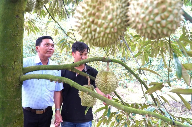 Năm 2026 Đồng Tháp sẽ thí điểm áp dụng hệ thống truy xuất nguồn gốc nông sản Năm 2026 Đồng Tháp sẽ thí điểm áp dụng hệ thống truy xuất nguồn gốc nông sản