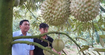 Năm 2026 Đồng Tháp sẽ thí điểm áp dụng hệ thống truy xuất nguồn gốc nông sản