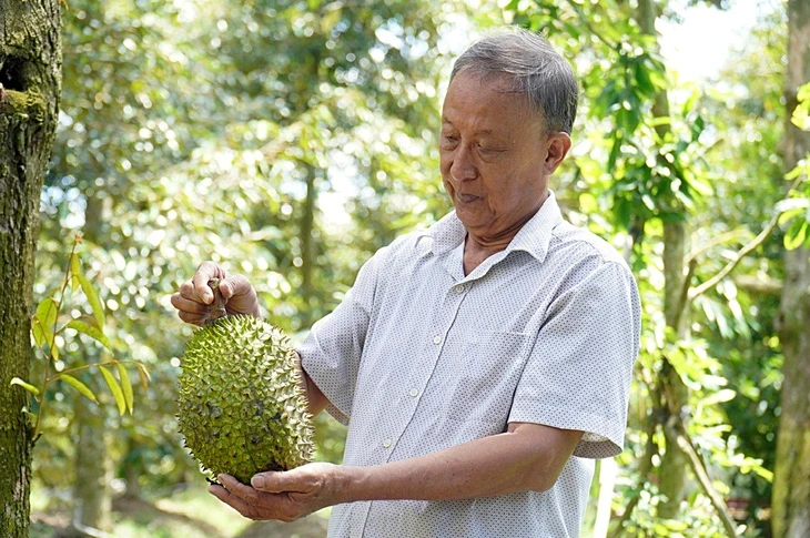 Nghịch lý sầu riêng miền Tây: Vùng nguyên liệu tỉ đô thiếu phòng kiểm nghiệm Nghịch lý sầu riêng miền Tây: Vùng nguyên liệu tỉ đô thiếu phòng kiểm nghiệm