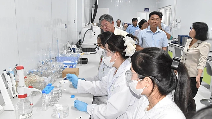 Nghịch lý sầu riêng miền Tây: Vùng nguyên liệu tỉ đô thiếu phòng kiểm nghiệm Nghịch lý sầu riêng miền Tây: Vùng nguyên liệu tỉ đô thiếu phòng kiểm nghiệm