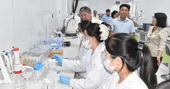 Nghịch lý sầu riêng miền Tây: Vùng nguyên liệu tỉ đô thiếu phòng kiểm nghiệm