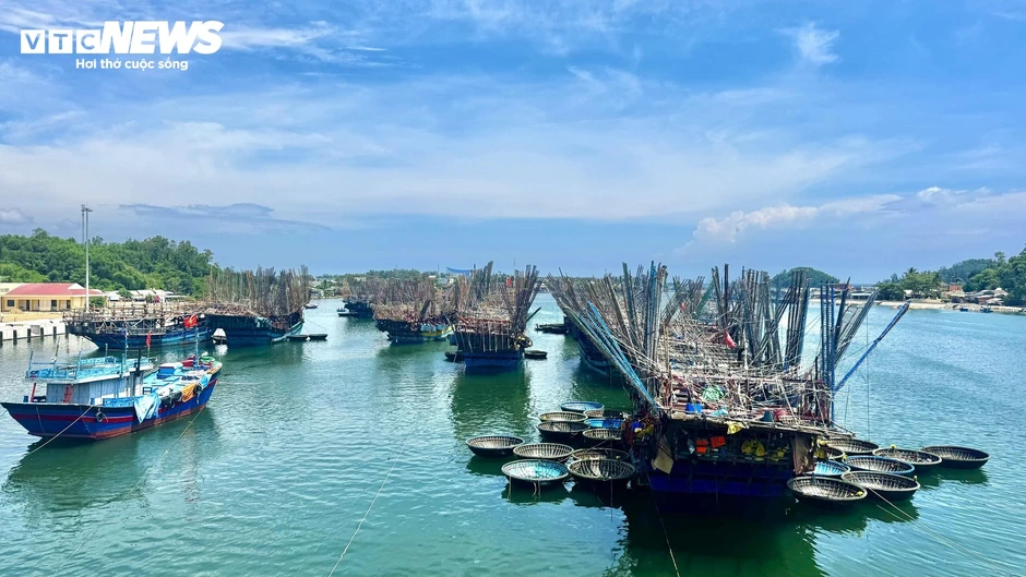 Ngư dân Quảng Ngãi 'thắng lớn' nhờ giá mực xà cao kỷ lục Ngư dân Quảng Ngãi 'thắng lớn' nhờ giá mực xà cao kỷ lục