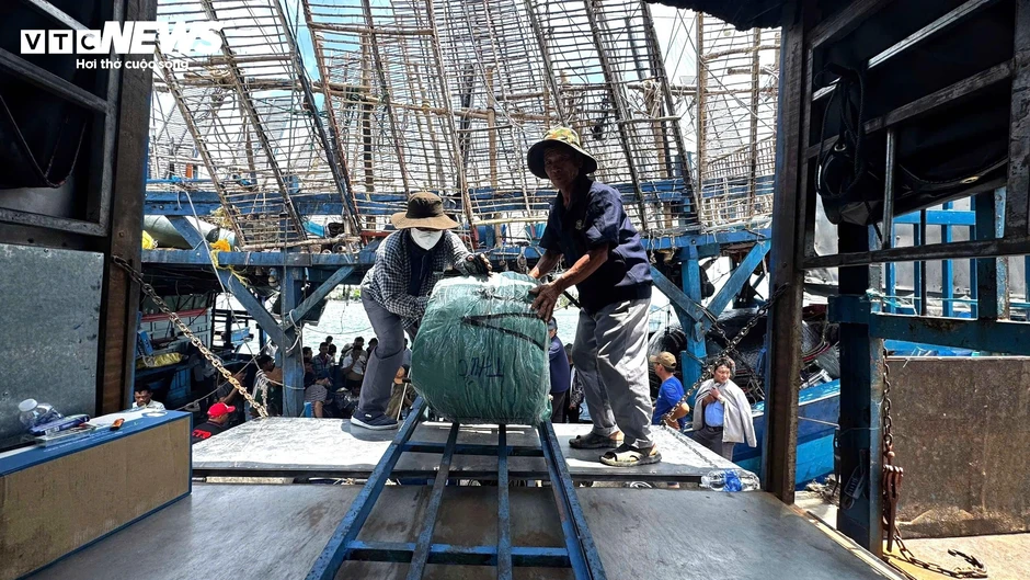 Ngư dân Quảng Ngãi 'thắng lớn' nhờ giá mực xà cao kỷ lục Ngư dân Quảng Ngãi 'thắng lớn' nhờ giá mực xà cao kỷ lục