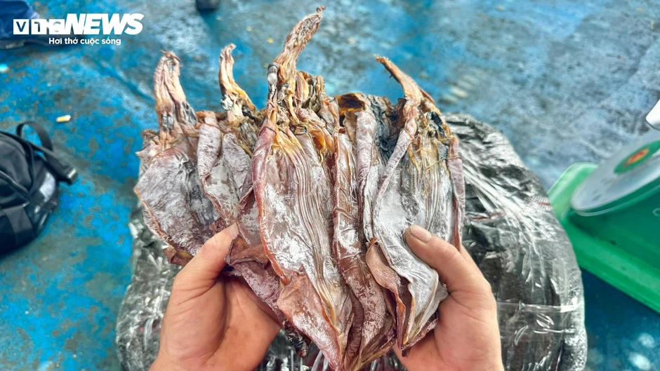 Ngư dân Quảng Ngãi 'thắng lớn' nhờ giá mực xà cao kỷ lục Ngư dân Quảng Ngãi 'thắng lớn' nhờ giá mực xà cao kỷ lục