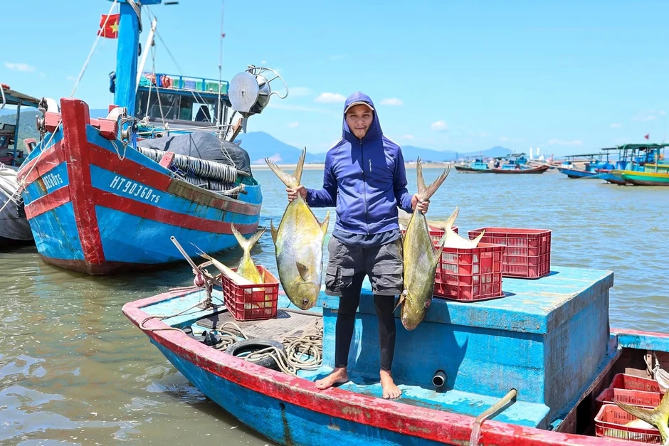 Ngư dân trúng đậm luồng cá vàng dâng 'hiếm khi xuất hiện' Ngư dân trúng đậm luồng cá vàng dâng 'hiếm khi xuất hiện'