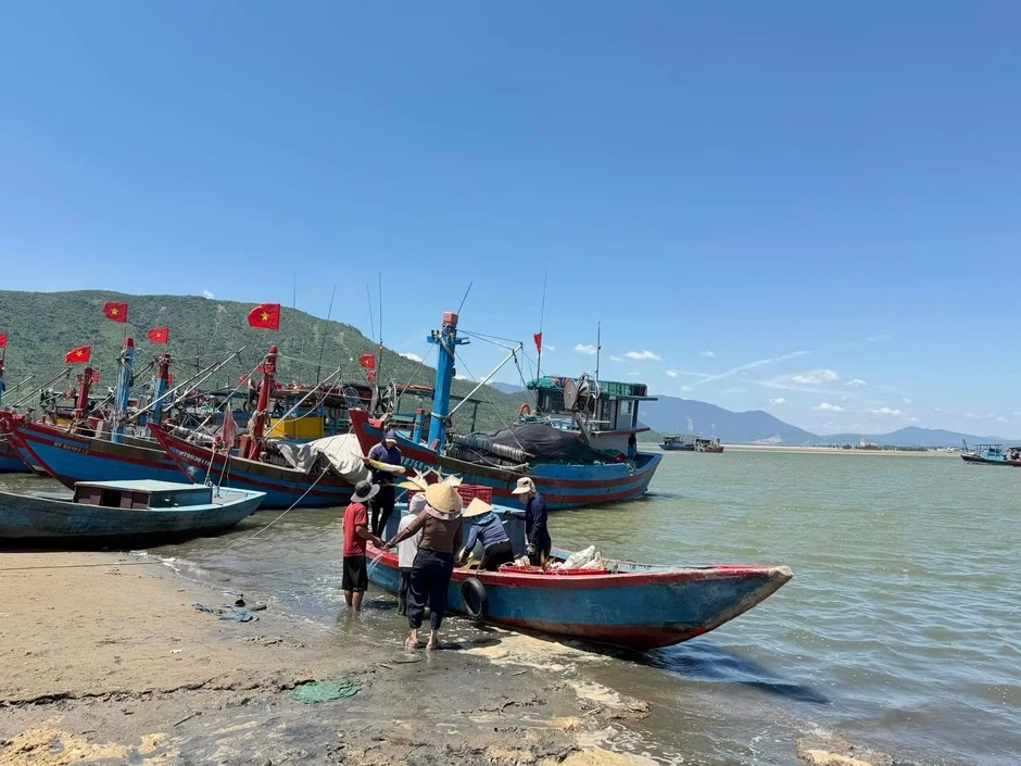 Ngư dân trúng đậm luồng cá vàng dâng 'hiếm khi xuất hiện' Ngư dân trúng đậm luồng cá vàng dâng 'hiếm khi xuất hiện'